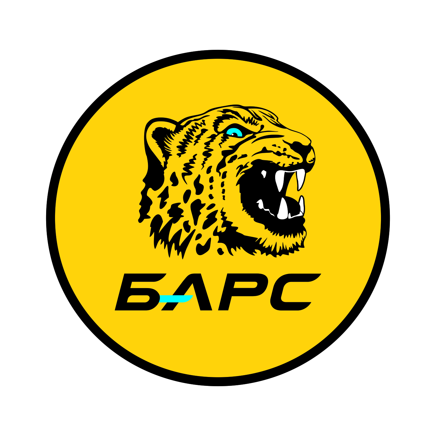 Бензин А-95 (Євро 5), АЗС БАРС, талон